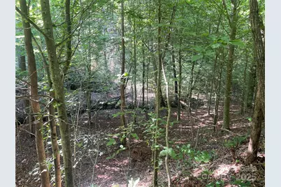 0 Camp McCall Road, Bostic, NC 28018 - Photo 19