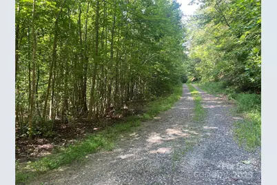 0 Camp McCall Road, Bostic, NC 28018 - Photo 21