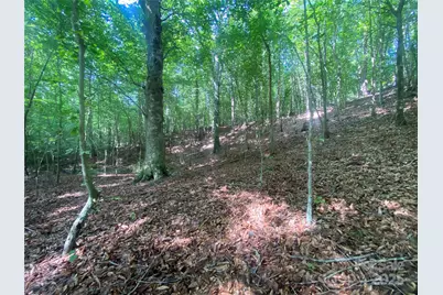 0 Camp McCall Road, Bostic, NC 28018 - Photo 15
