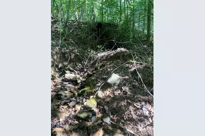 0 Camp McCall Road, Bostic, NC 28018 - Photo 25