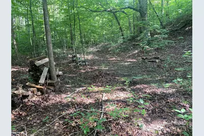 0 Camp McCall Road, Bostic, NC 28018 - Photo 23