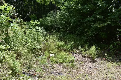 50 Firefly Springs Lane, Candler, NC 28715 - Photo 19