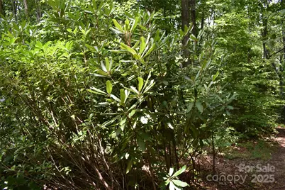 50 Firefly Springs Lane, Candler, NC 28715 - Photo 41