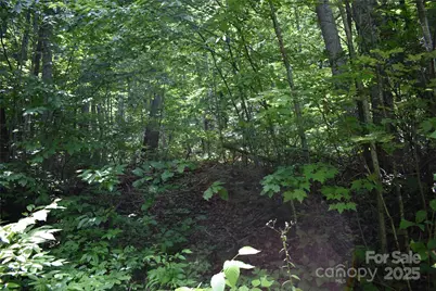 50 Firefly Springs Lane, Candler, NC 28715 - Photo 37