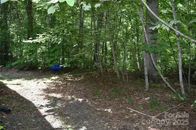 50 Firefly Springs Lane, Candler, NC 28715 - Photo 23