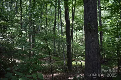 50 Firefly Springs Lane, Candler, NC 28715 - Photo 27