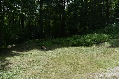 50 Firefly Springs Lane, Candler, NC 28715 - Photo 33