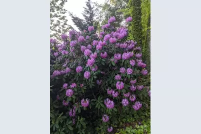 2491 Watts Street, Morganton, NC 28655 - Photo 15