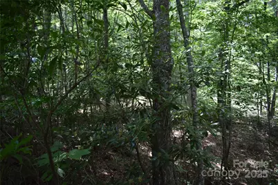 50 Firefly Springs Lane, Candler, NC 28715 - Photo 27