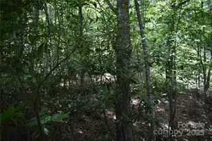 50 Firefly Spgs Ln, Candler, NC 28715 - Photo 27