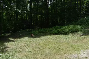 50 Firefly Spgs Ln, Candler, NC 28715 - Photo 33