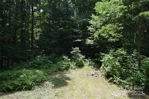 50 Firefly Spgs Ln, Candler, NC 28715 - Photo 35