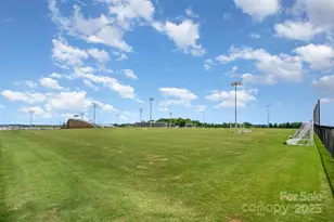 526 Spring Landing Dr, Rock Hill, SC 29730 - Photo 47