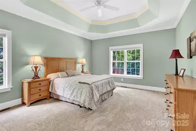 267 Spring Run Drive, Mooresville, NC 28117 - Photo 13