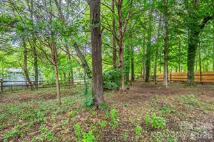 6410 Pineburr Ct, Charlotte, NC 28211 - Photo 33