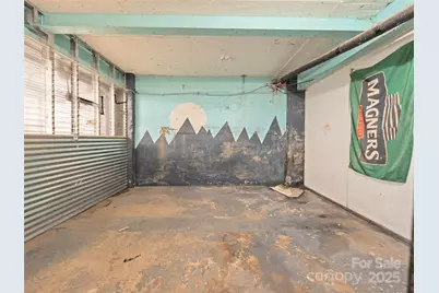 339 Park Street, Canton, NC 28716 - Photo 39