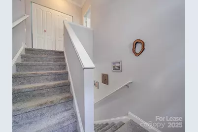 1723 Burgin Street, Charlotte, NC 28205 - Photo 19