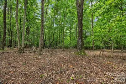 0 Pike Road, Moravian Falls, NC 28654 - Photo 13