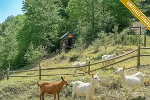 185 Blossom Ridge, Leicester, NC 28748 - Photo 45