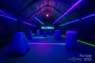 185 Blossom Ridge, Leicester, NC 28748 - Photo 47