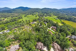 46 Beale Ct, Fletcher, NC 28732 - Photo 43