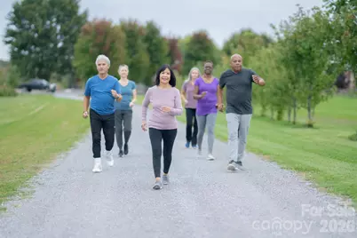 46 Beale Court, Fletcher, NC 28732 - Photo 43