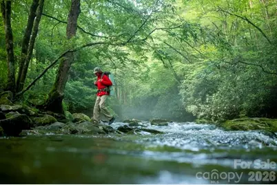 46 Beale Court, Fletcher, NC 28732 - Photo 47