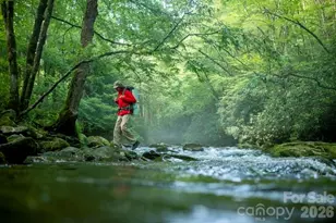 46 Beale Ct, Fletcher, NC 28732 - Photo 47