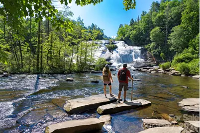 46 Beale Court, Fletcher, NC 28732 - Photo 45