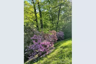 167 Simmons Ridge Road, Spruce Pine, NC 28777 - Photo 37