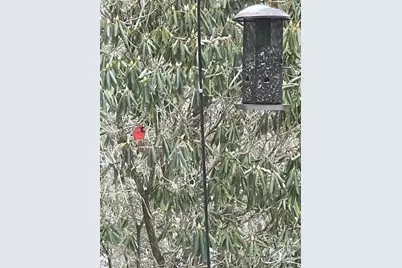 167 Simmons Ridge Road, Spruce Pine, NC 28777 - Photo 33