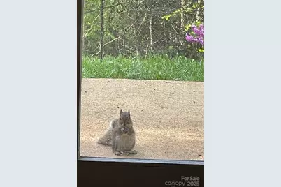 167 Simmons Ridge Road, Spruce Pine, NC 28777 - Photo 35