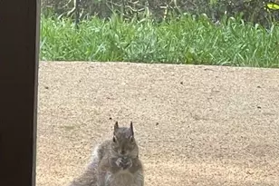 167 Simmons Ridge Rd, Spruce Pine, NC 28777 - Photo 35