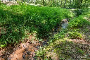 290 Turkey Pen Rd, Franklin, NC 28734 - Photo 37