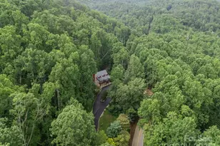 1145 Bearwallow Mountain Rd, Hendersonville, NC 28792 - Photo 43