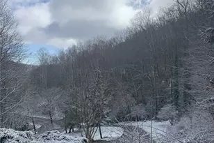 1145 Bearwallow Mountain Rd, Hendersonville, NC 28792 - Photo 45