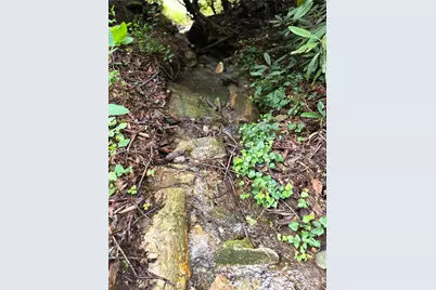 1145 Bearwallow Mountain Road, Hendersonville, NC 28792 - Photo 41