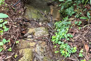 1145 Bearwallow Mountain Rd, Hendersonville, NC 28792 - Photo 41