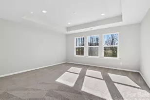 229 Alluvium Ln, Waxhaw, NC 28173 - Photo 17