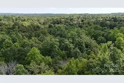 00 Blue Branch Road #Tract B, Gaffney, SC 29340 - Photo 7