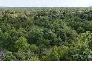 00 Blue Branch Rd, Gaffney, SC 29340 - Photo 7