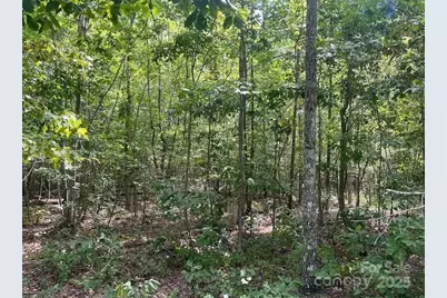 00 Blue Branch Road #Tract B, Gaffney, SC 29340 - Photo 11