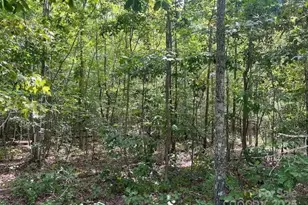 00 Blue Branch Rd, Gaffney, SC 29340 - Photo 11