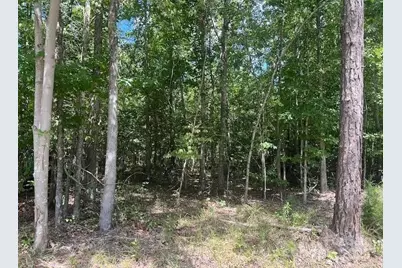 00 Blue Branch Road #Tract C, Gaffney, SC 29340 - Photo 3