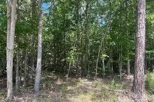 00 Blue Branch Rd, Gaffney, SC 29340 - Photo 3