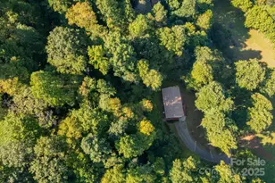 100 Susanna Cove Rd, Mars Hill, NC 28754 - Photo 33