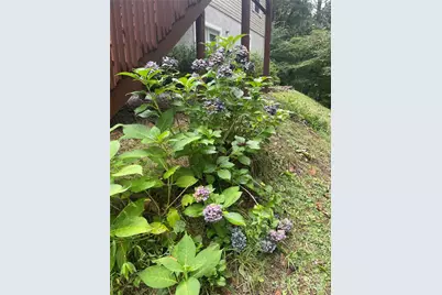 100 Susanna Cove Road, Mars Hill, NC 28754 - Photo 25