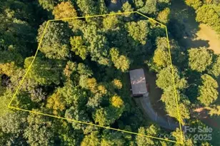 100 Susanna Cove Rd, Mars Hill, NC 28754 - Photo 11