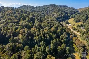 100 Susanna Cove Rd, Mars Hill, NC 28754 - Photo 37