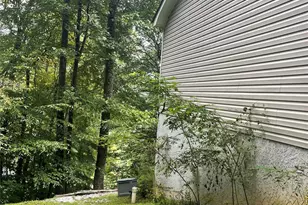 100 Susanna Cove Rd, Mars Hill, NC 28754 - Photo 23